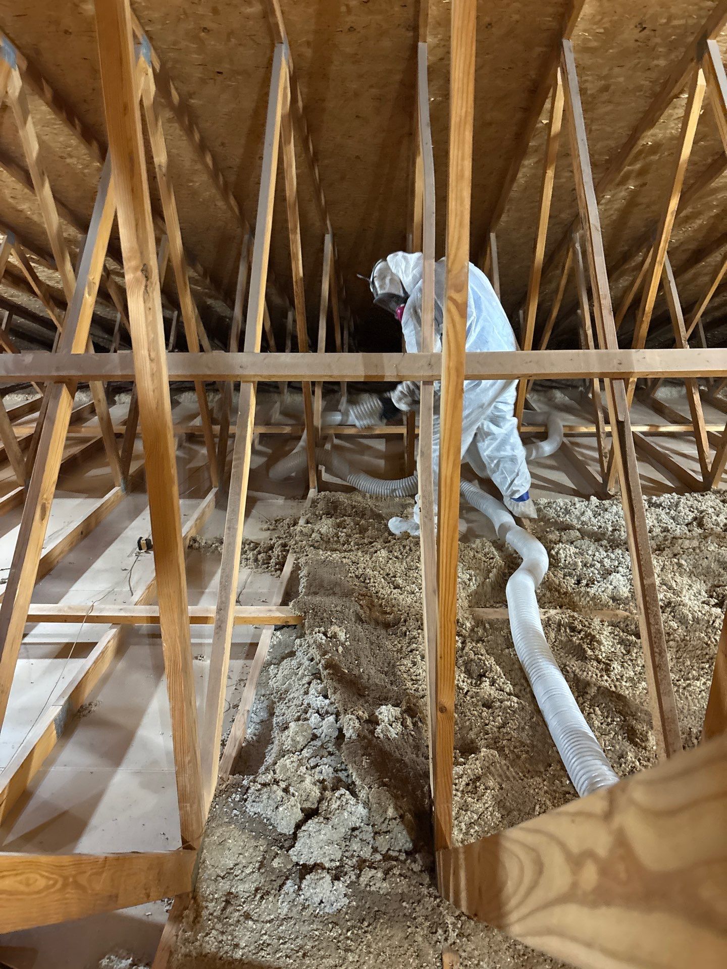louisville insulation team member inspecting insulation in the attic of building